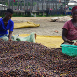 Ouganda (TCY - Muki Fruity)